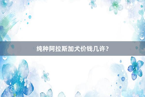 纯种阿拉斯加犬价钱几许？